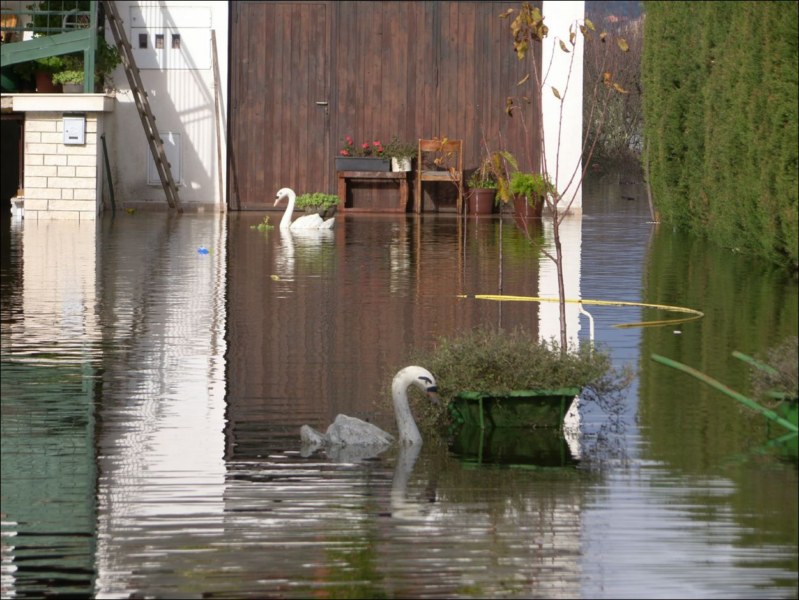 Poplava u Metkovicu (82)